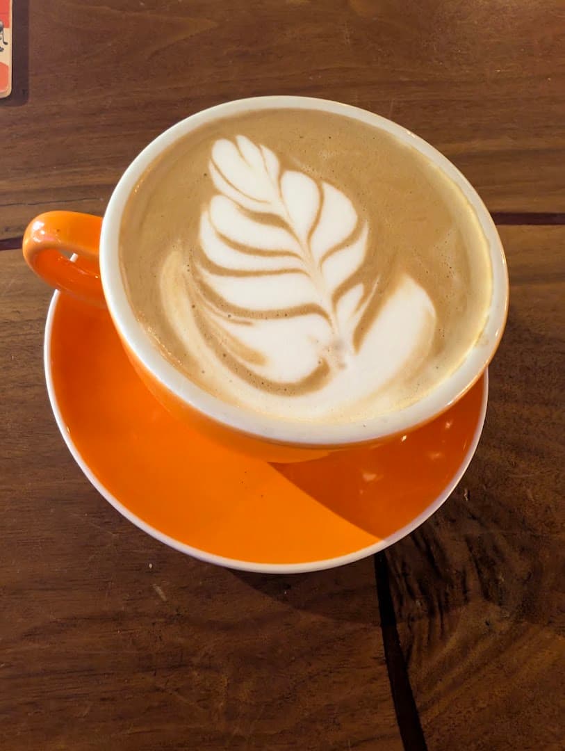 Coffee at Smelly Cat Coffeehouse & Roastery, specialty coffee shop in Charlotte