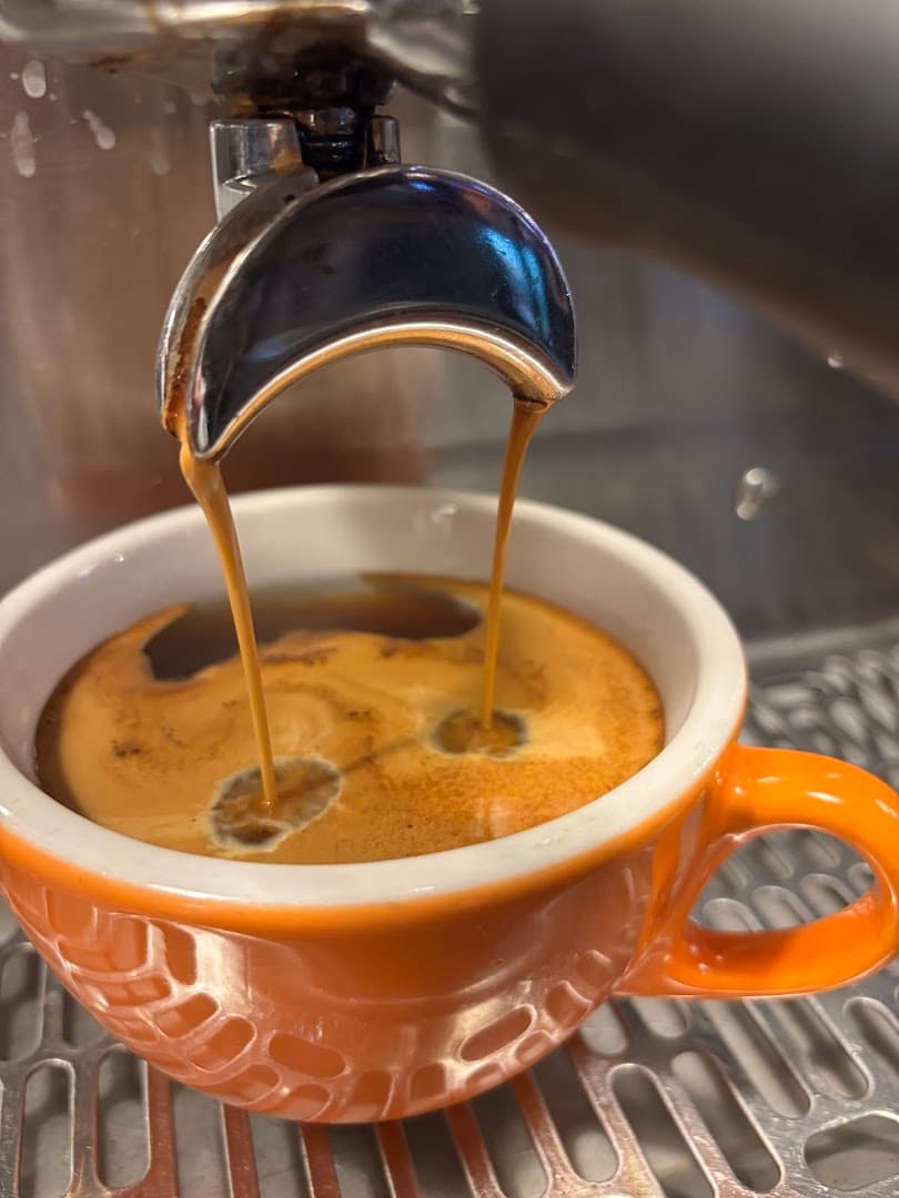 Coffee at Smelly Cat Coffeehouse & Roastery, specialty coffee shop in Charlotte