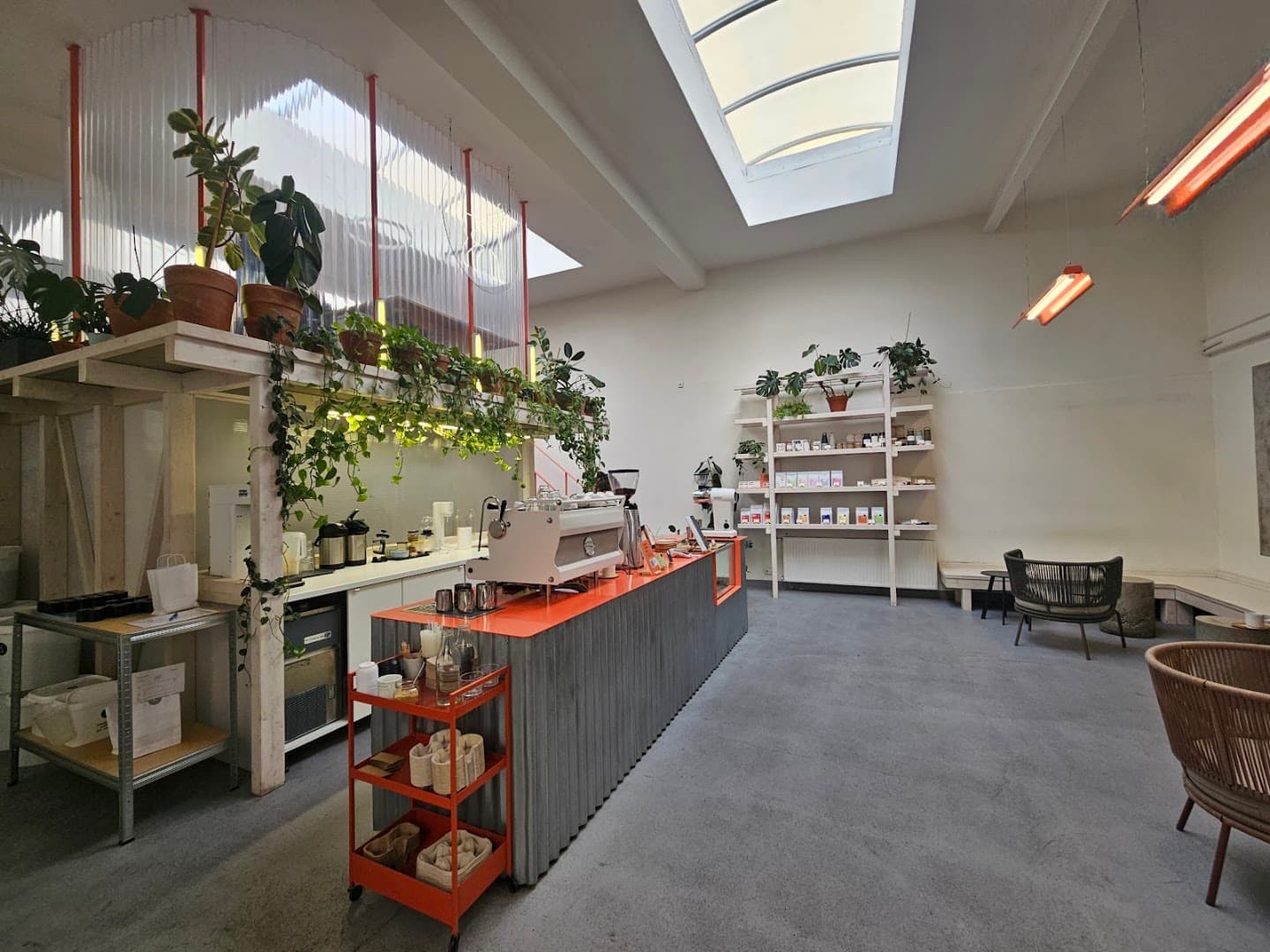 Interior of TYPIKA Karlín, specialty coffee shop in Prague