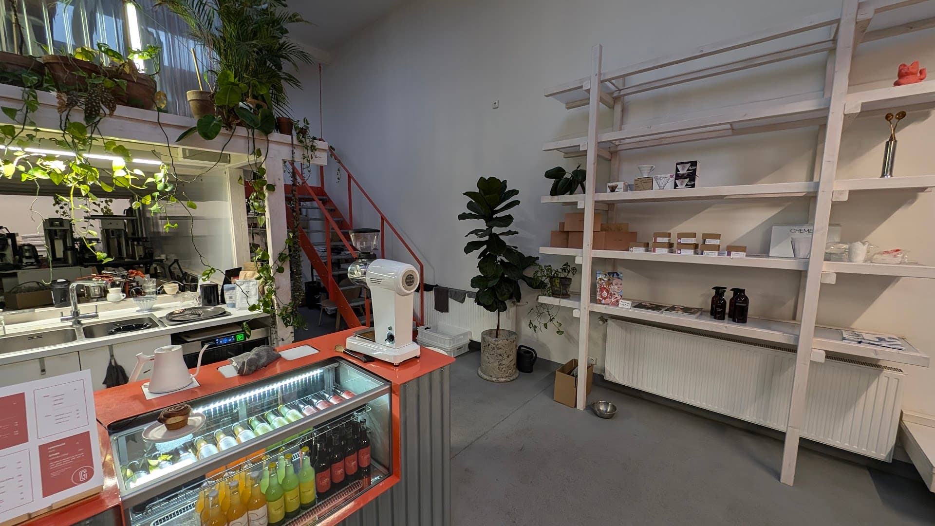 Interior of TYPIKA Karlín, specialty coffee shop in Prague