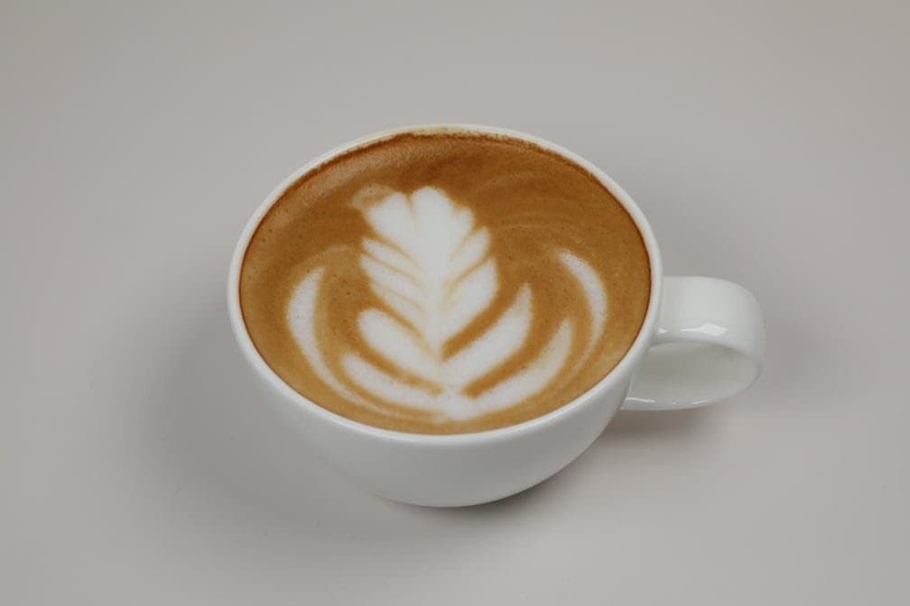 Blind Tiger Coffee Roasters - specialty coffee shop in Tampa-St. Petersburg