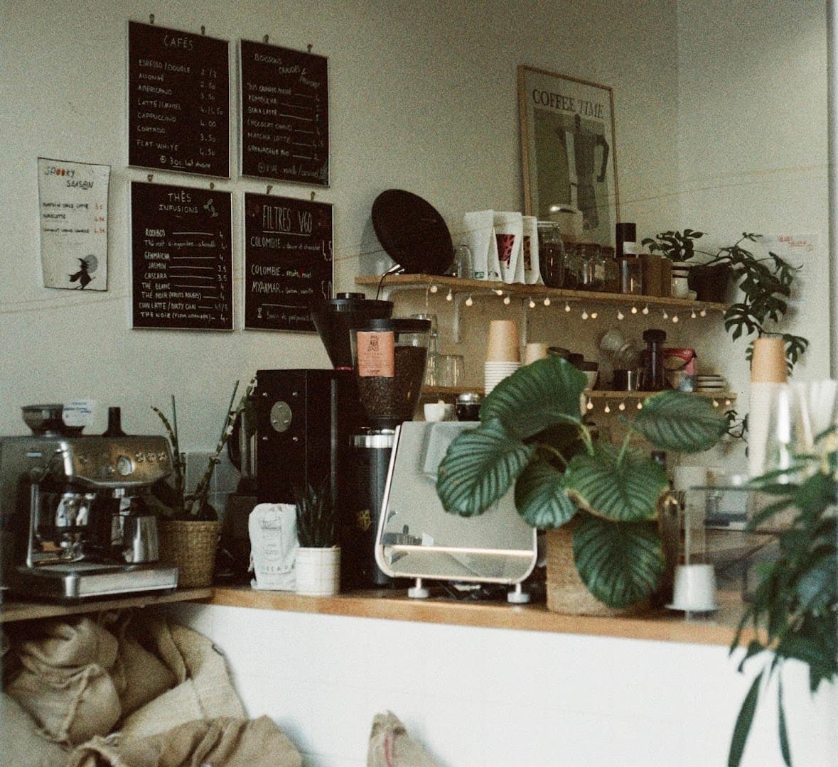 Canopi Coffee - specialty coffee shop in Paris