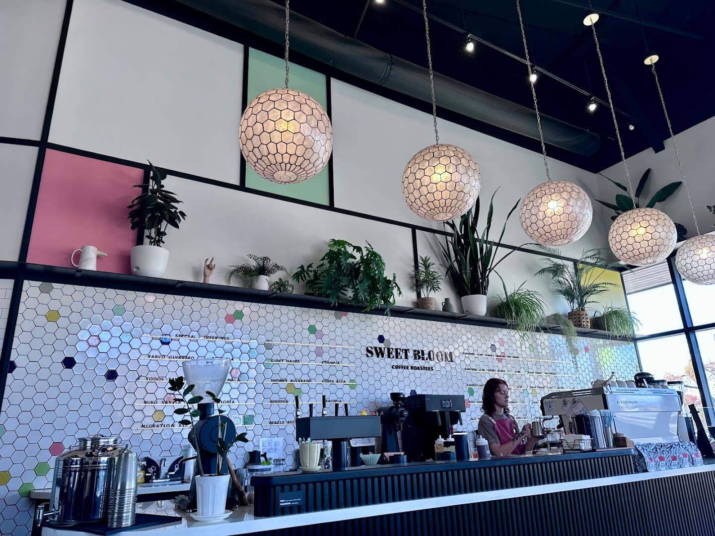 Sweet Bloom Coffee specialty coffee shop in Denver - photo 6