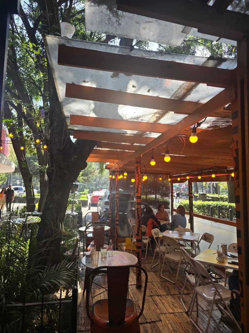 Boicot Café Polanco - specialty coffee shop in Mexico City
