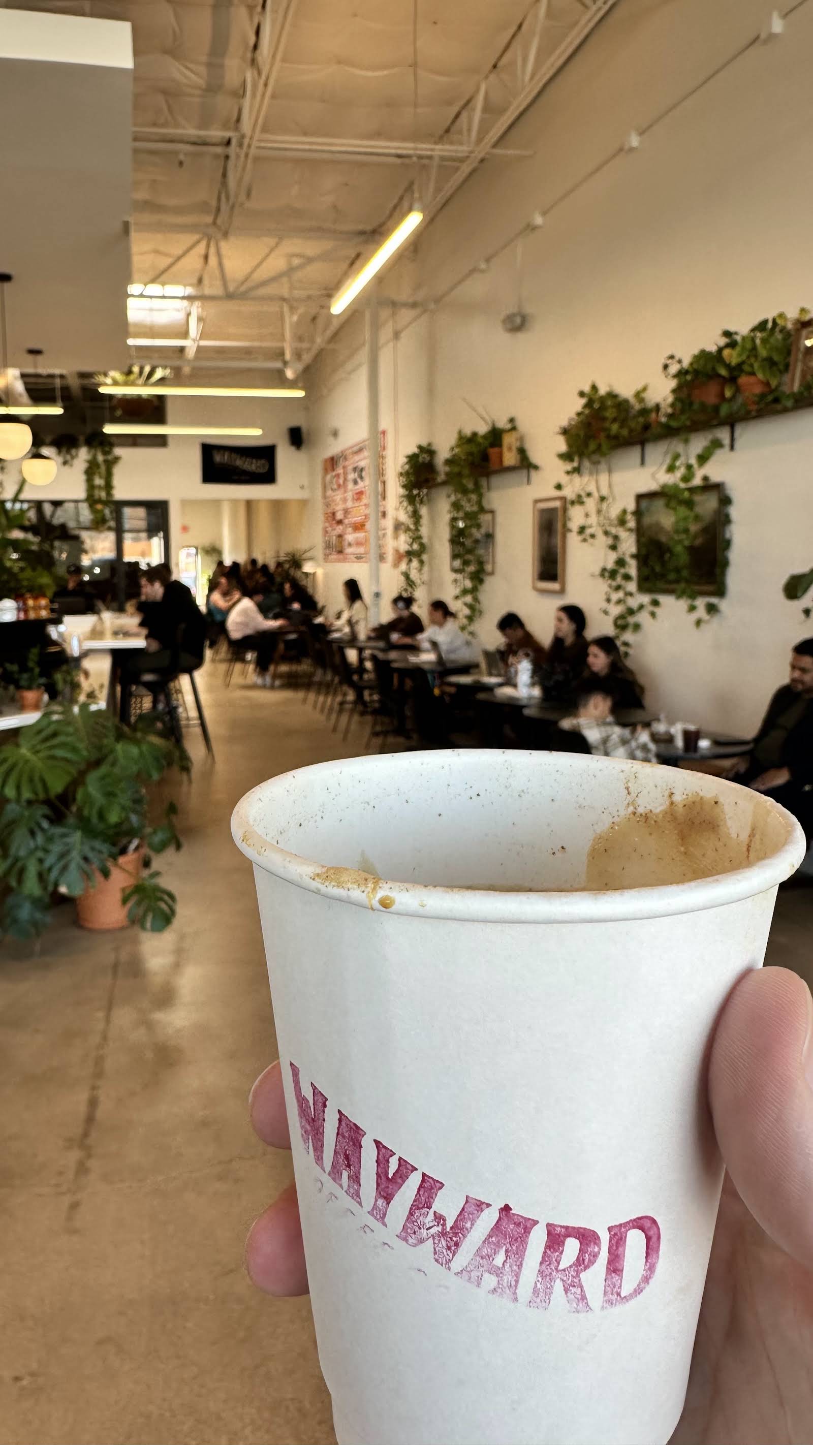 Wayward Coffee Co specialty coffee shop in Dallas - photo 17