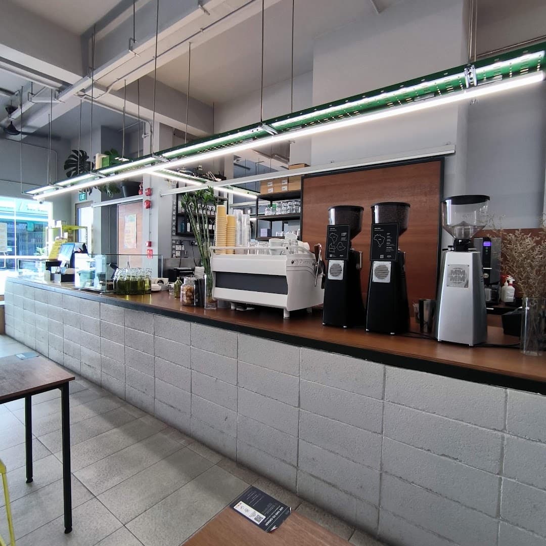Interior of Brawn & Brains Coffee - 16 Hamilton Rd, specialty coffee shop in Singapore