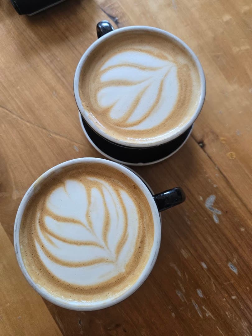 Hivolt - specialty coffee shop in New Orleans