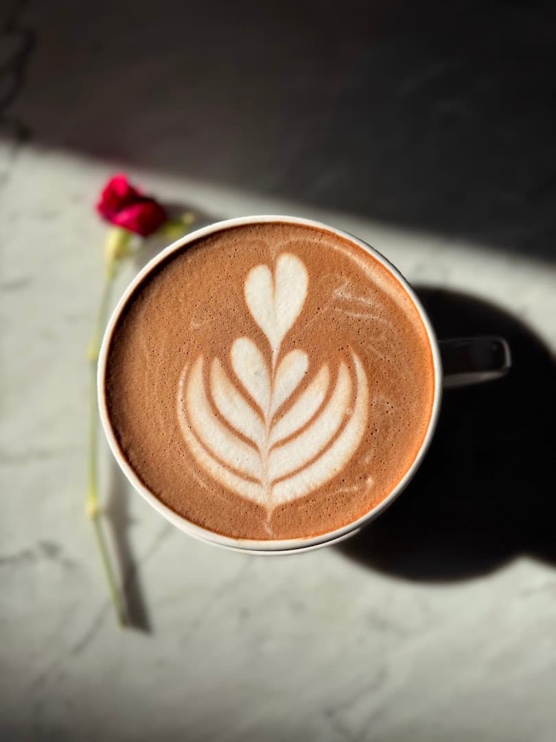 35° North Coffee - specialty coffee shop in Santa Fe