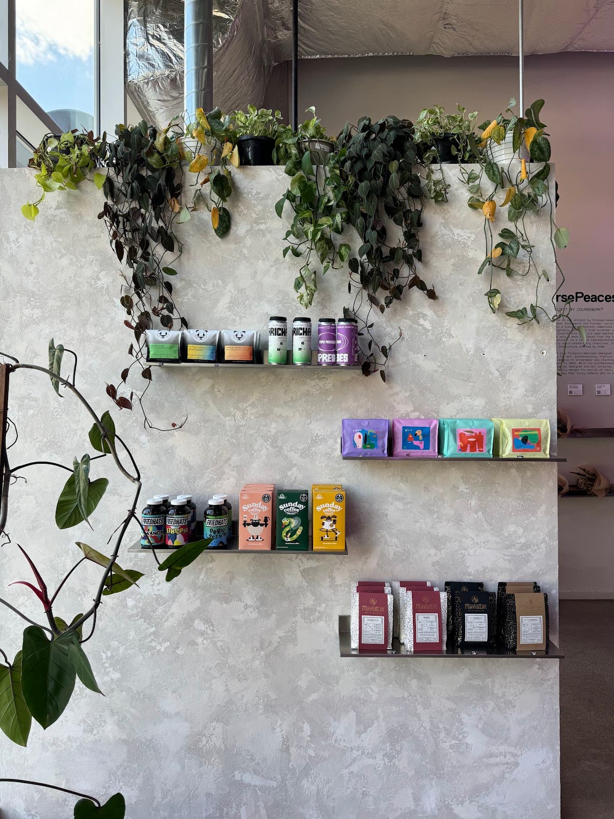 Drip Collective specialty coffee shop in Chicago - photo 4