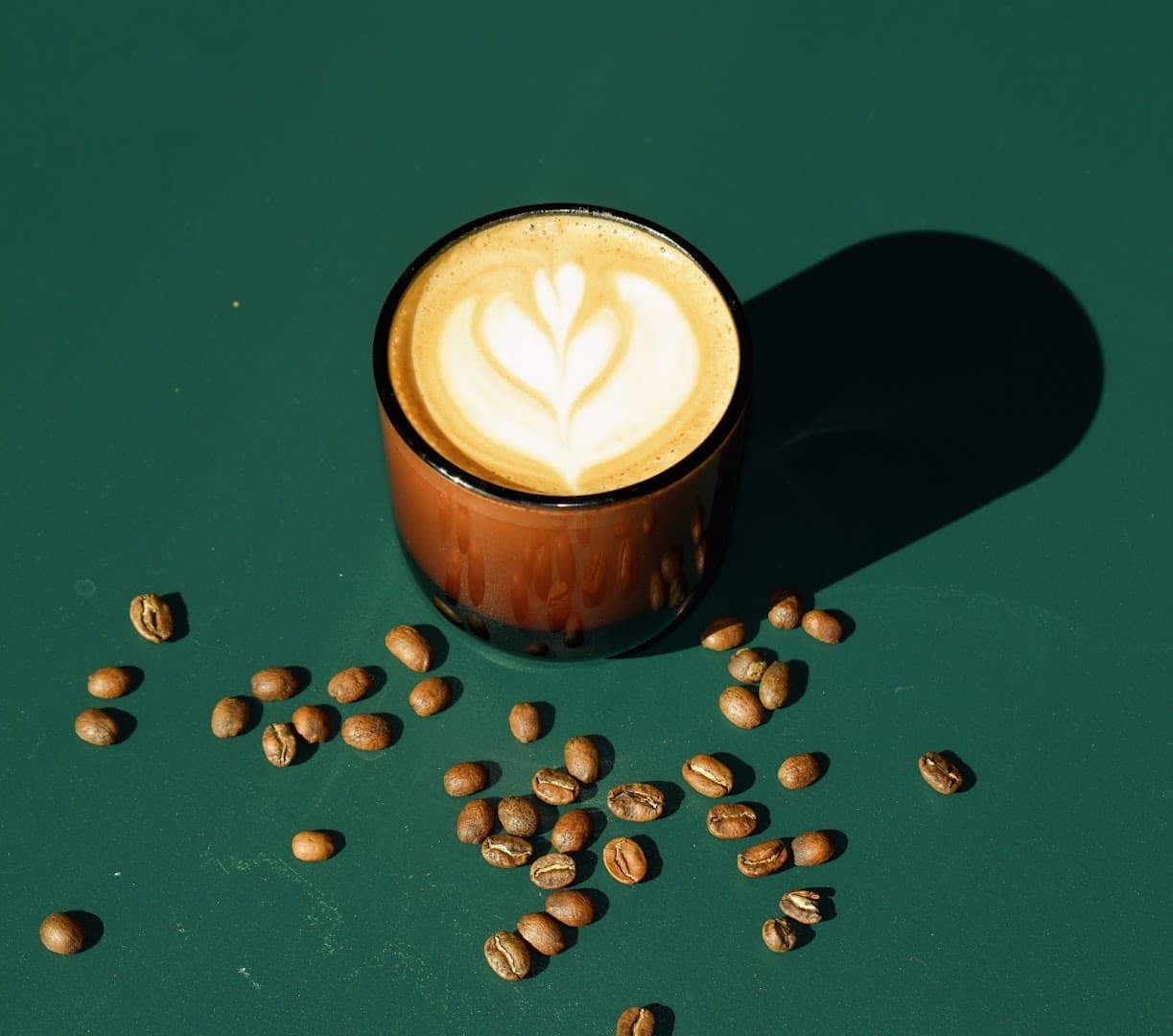 Perch Coffee - specialty coffee shop in Salt Lake City