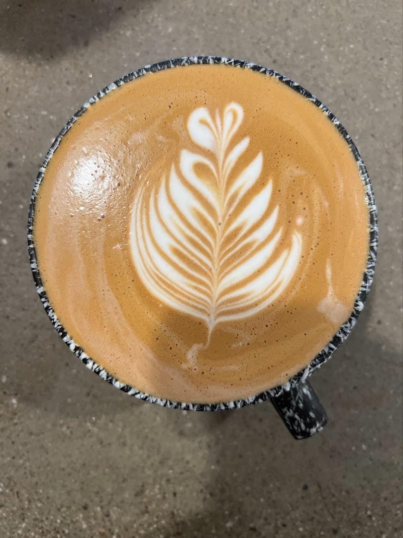 Eden Espresso Bar - specialty coffee shop in Mount Eden