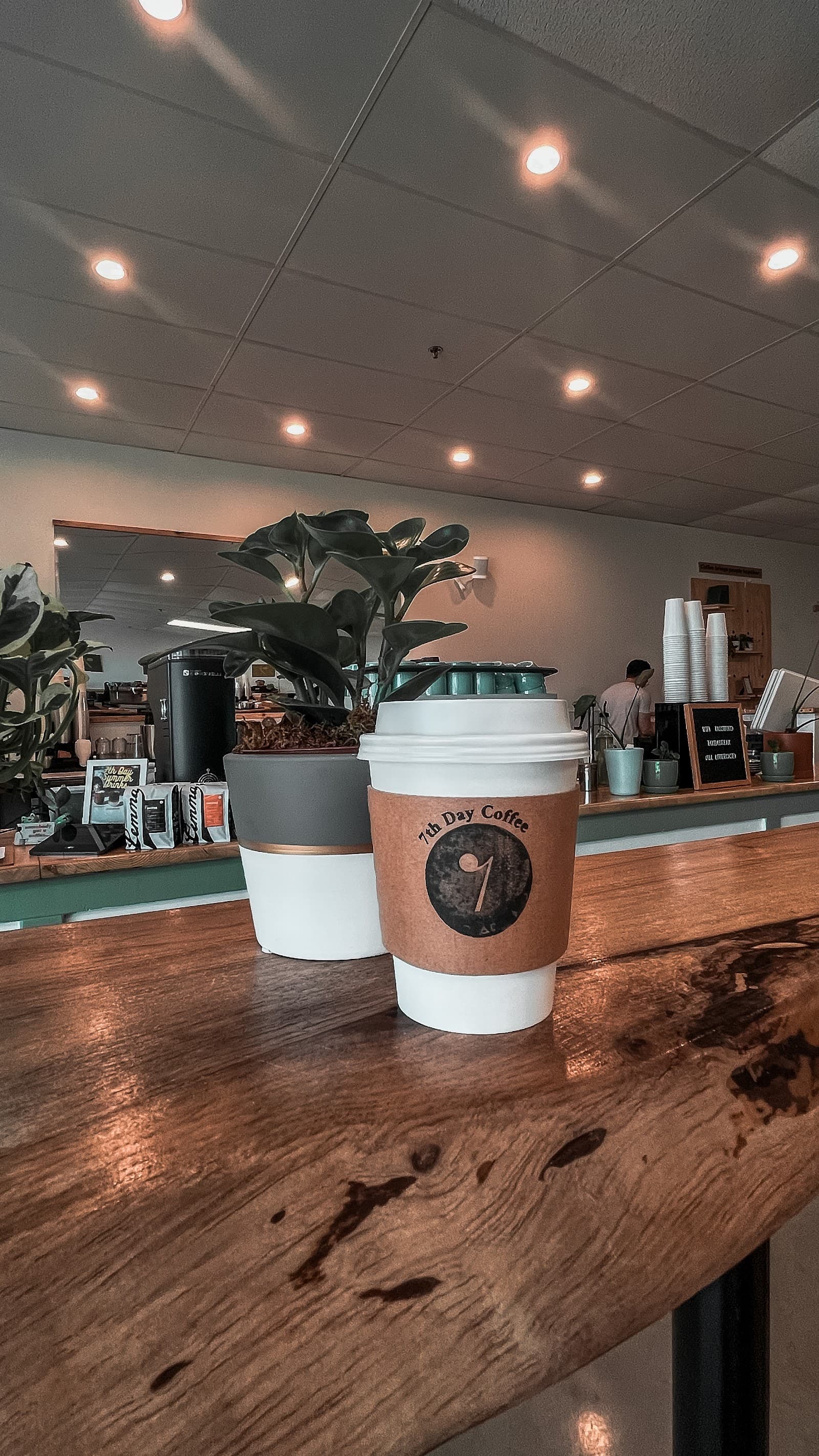 7th Day Coffee specialty coffee shop in Dallas - photo 8