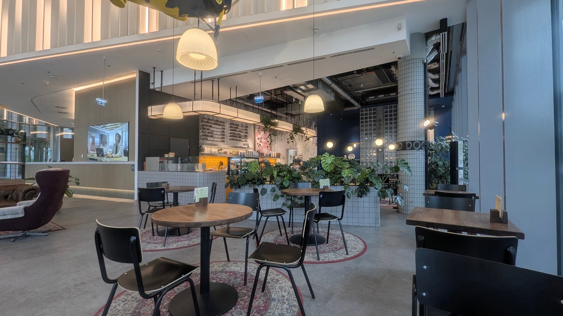 Mad Dog Coffee_Hangár - specialty coffee shop in Budapest