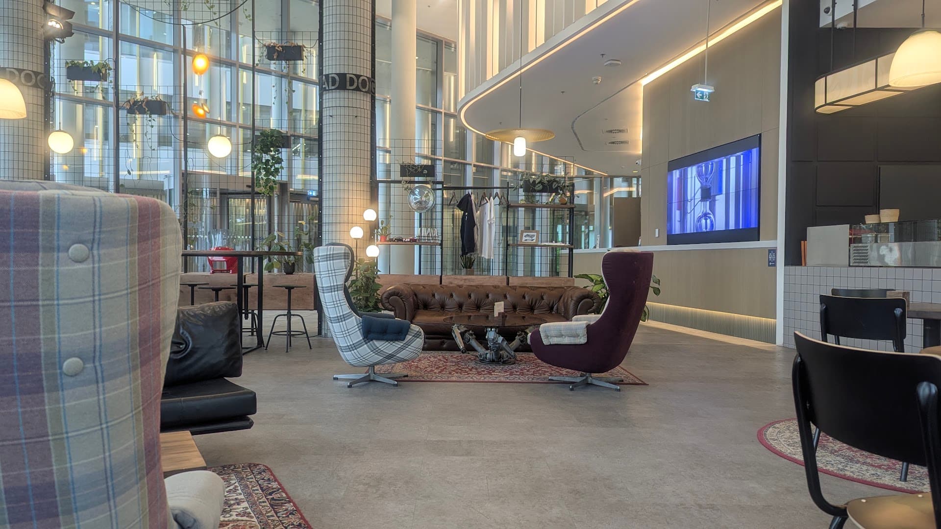 Mad Dog Coffee_Hangár - specialty coffee shop in Budapest
