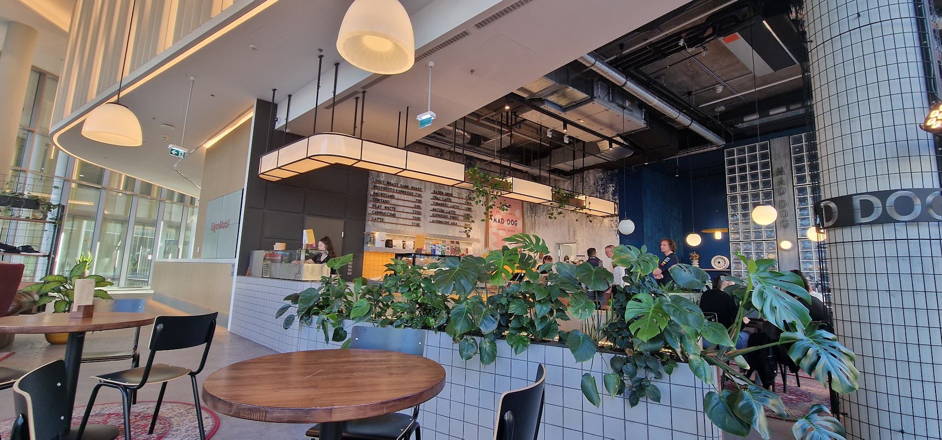 Mad Dog Coffee_Hangár specialty coffee shop in Budapest - photo 7