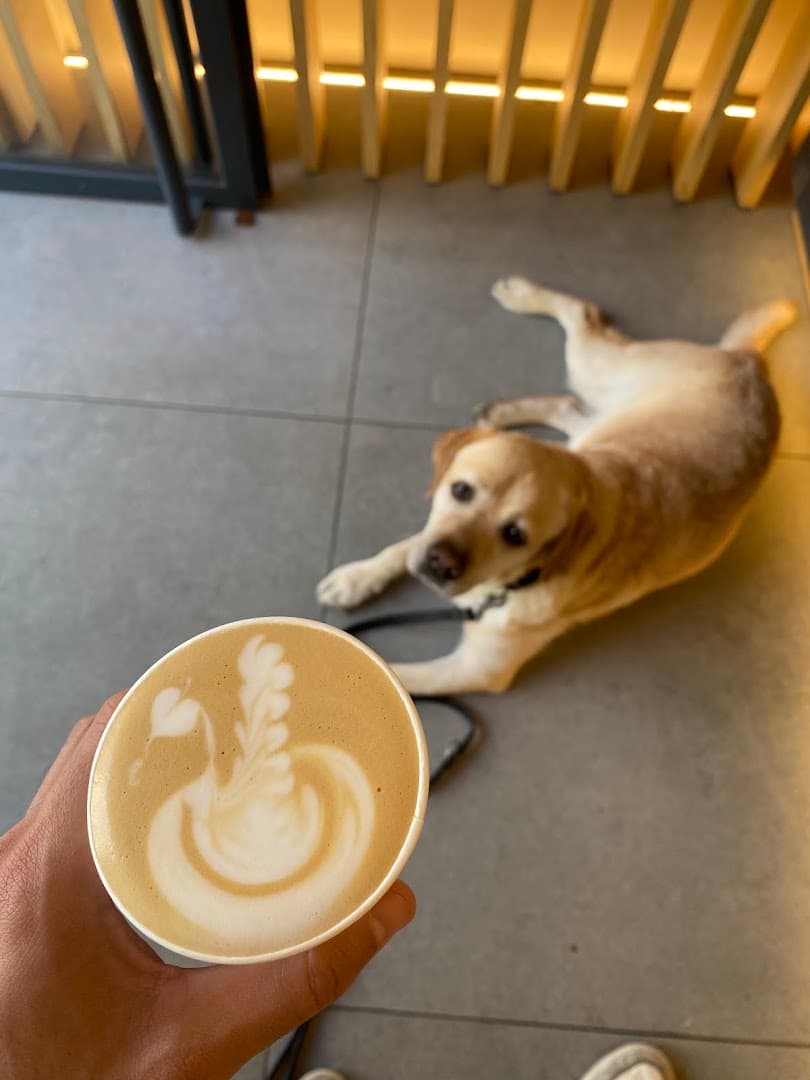 East Crema Coffee Eloy (Specialty Coffee Madrid) - specialty coffee shop in Madrid