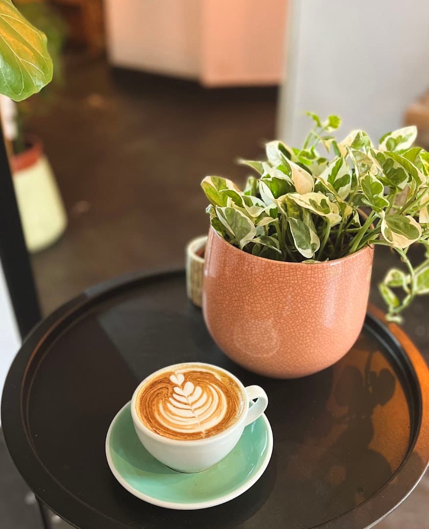 The Little Cactus - Speciality Coffee & Food - specialty coffee shop in Dublin