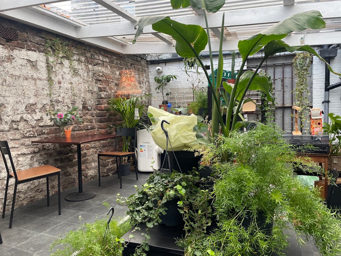 The Little Cactus - Speciality Coffee & Food - specialty coffee shop in Dublin