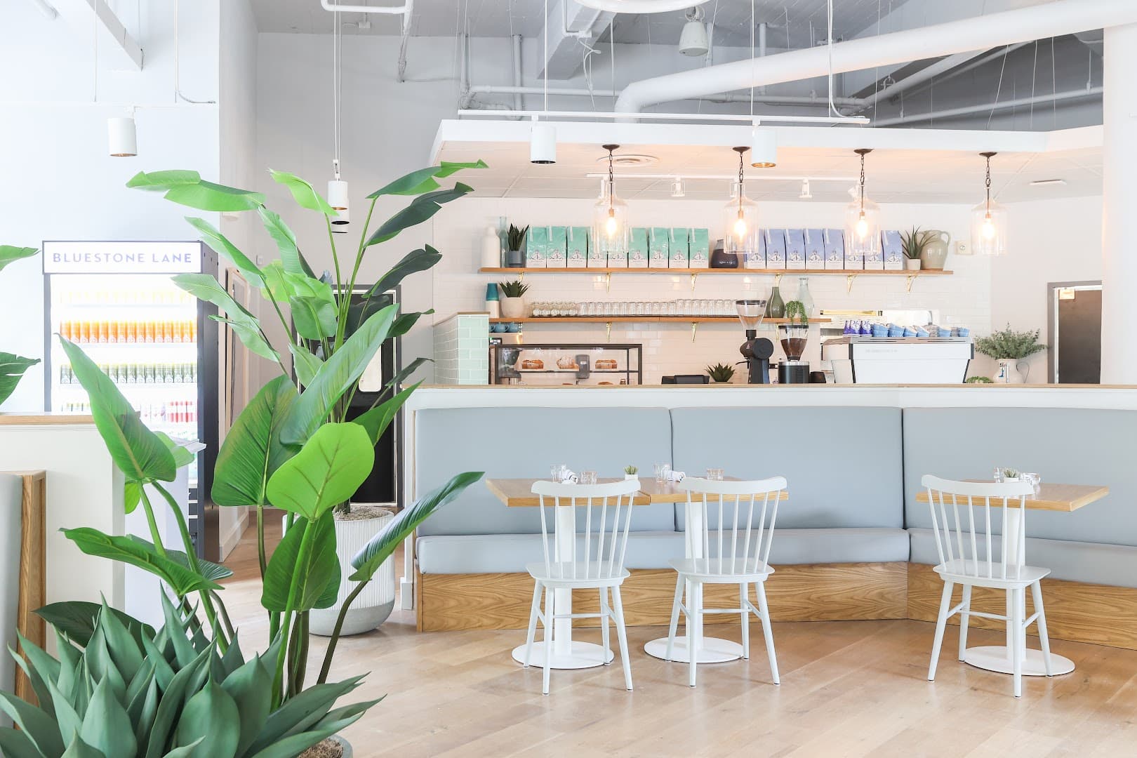 Bluestone Lane Spring Valley Café - specialty coffee shop in Washington, D.C.