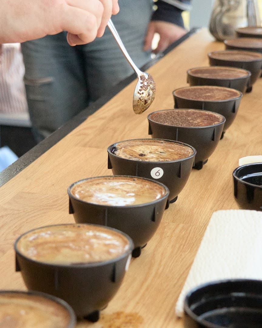 Coffee at Tribes of Mokha Coffee Roastery, specialty coffee shop in Prague