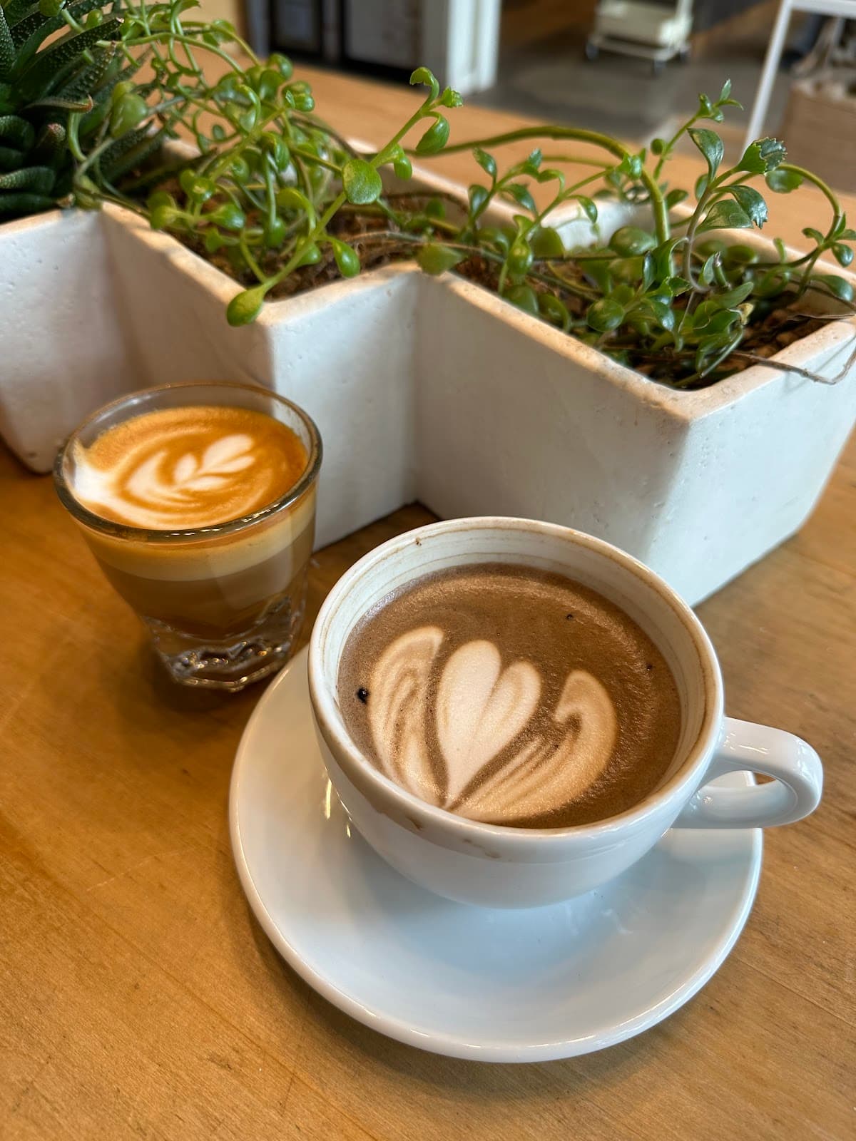 Noble Coyote Coffee Roasters - specialty coffee shop in Expo Park