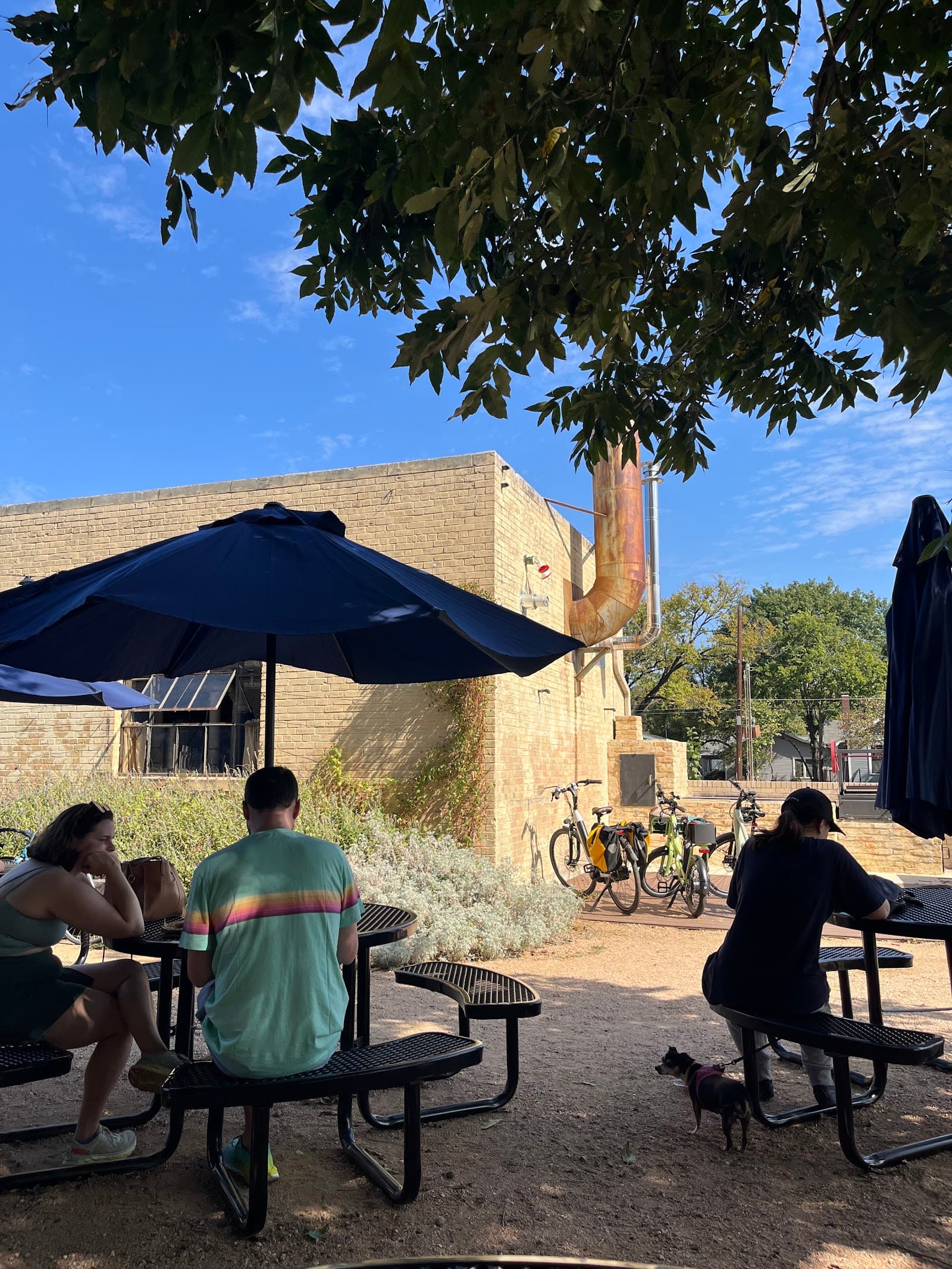 Terrible Love - specialty coffee shop in Hyde Park