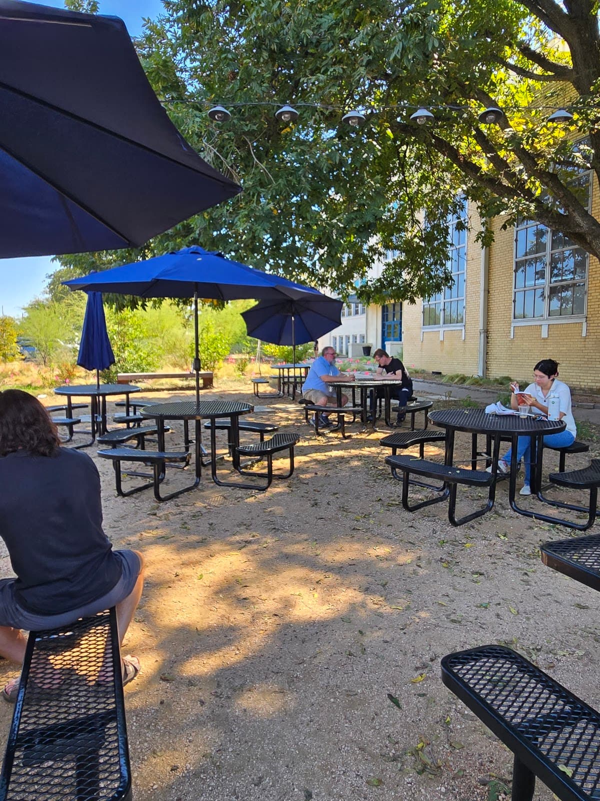 Terrible Love - specialty coffee shop in Hyde Park