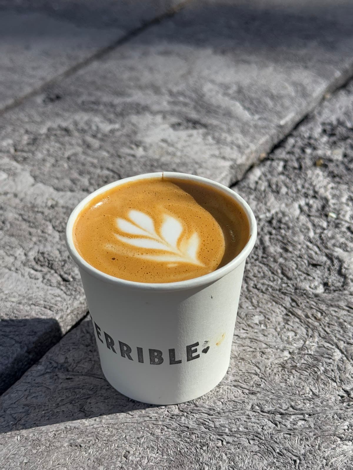 Terrible Love specialty coffee shop in Austin - photo 3