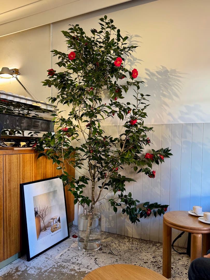 Primary, Potts Point - specialty coffee shop in Sydney