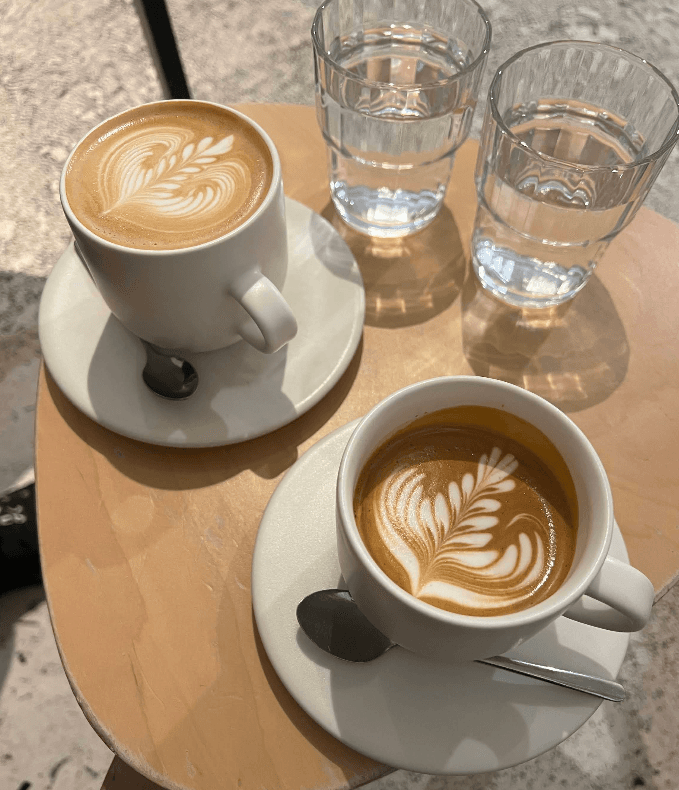Primary, Potts Point - specialty coffee shop in Sydney
