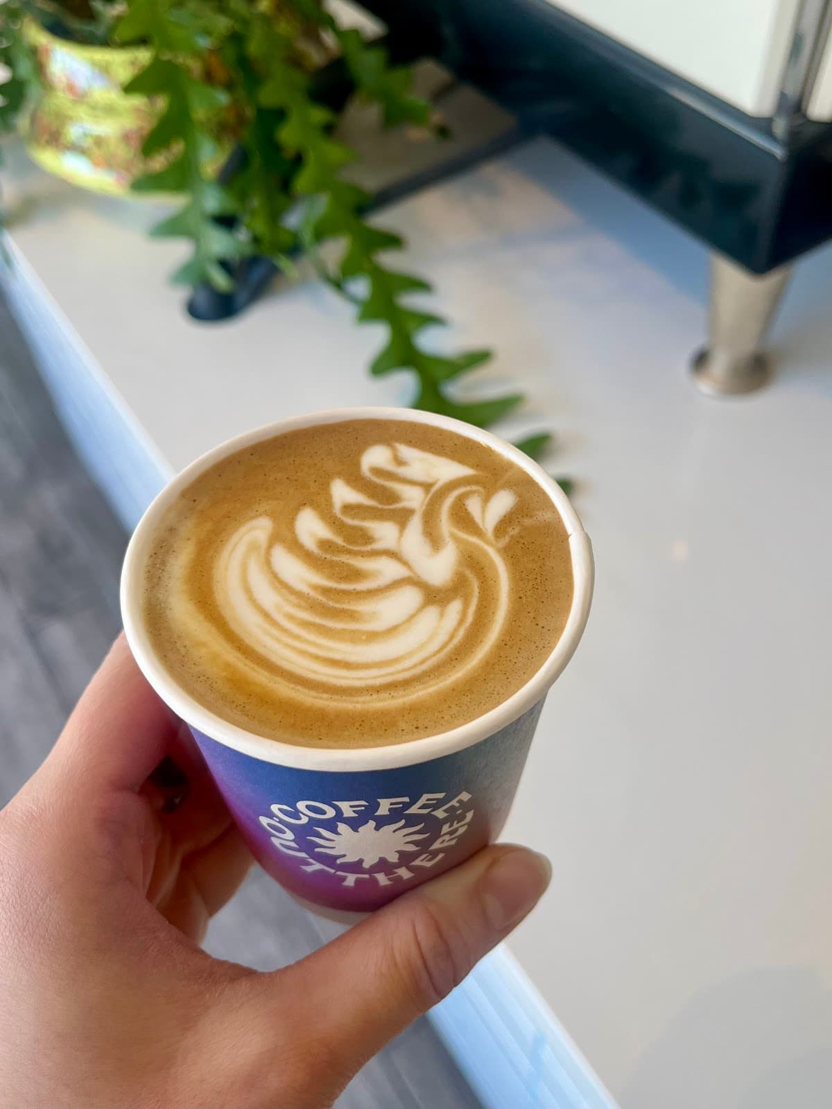 Out There Coffee Roasters - specialty coffee shop in Lower Haight