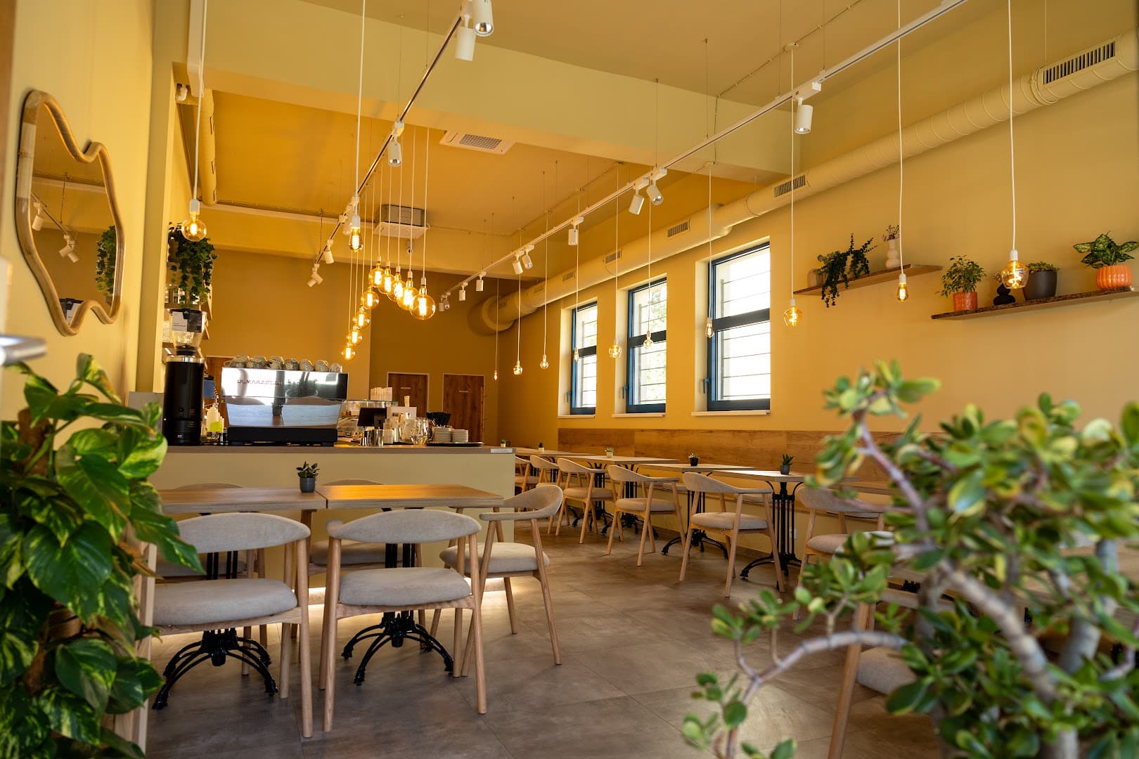Interior of anmi cafe, specialty coffee shop in Prague