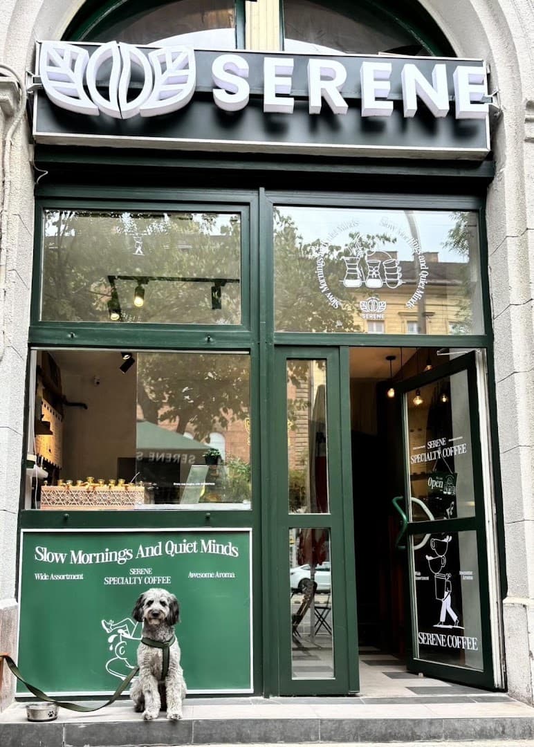 SERENE – Specialty Coffee & More - specialty coffee shop in Budapest