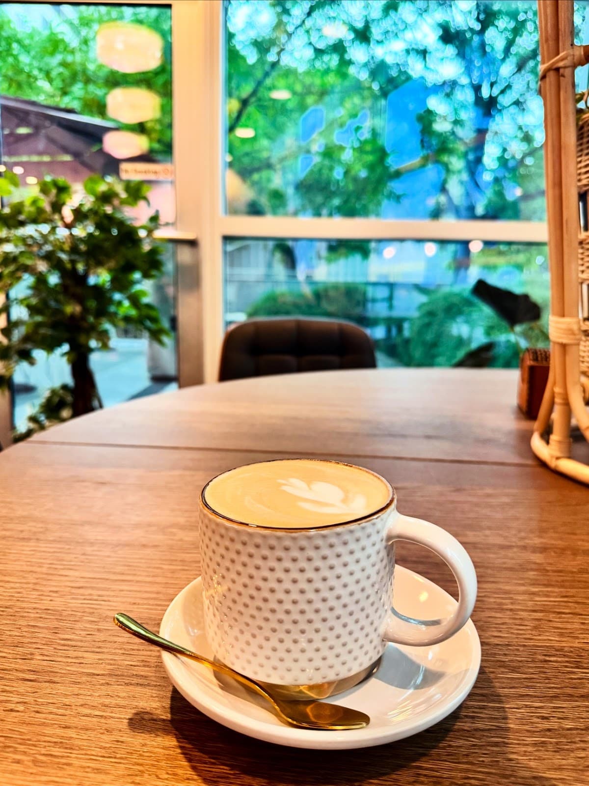 WARKA COFFEE specialty coffee shop in Washington, D.C. - photo 4