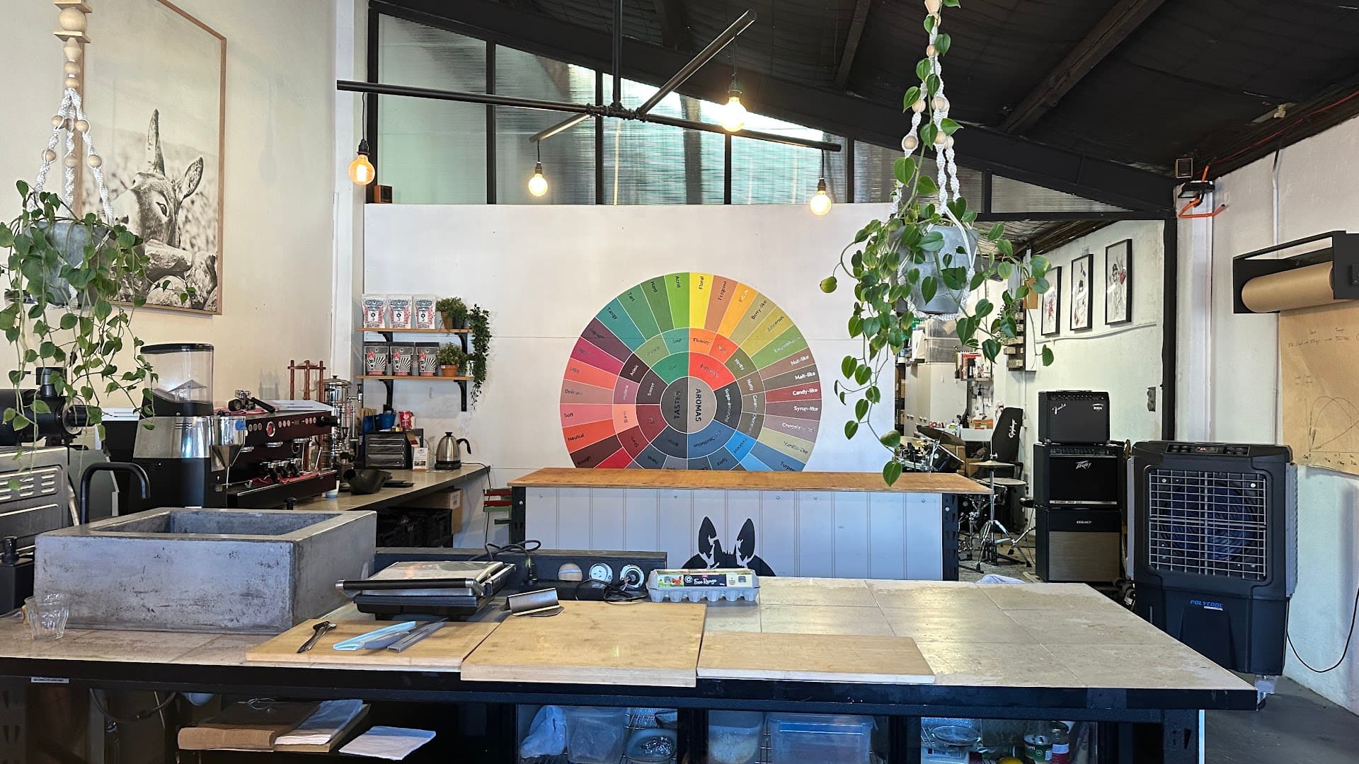 Mule Coffee Roasters - specialty coffee shop in Sydney