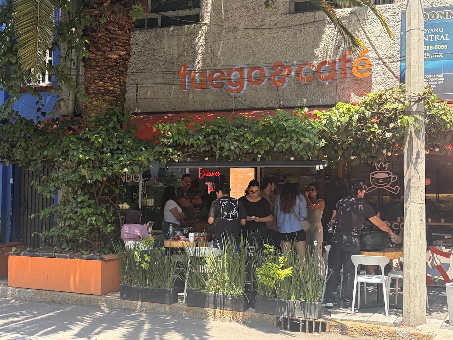 Storefront of Fuego & Café, specialty coffee shop in Mexico City
