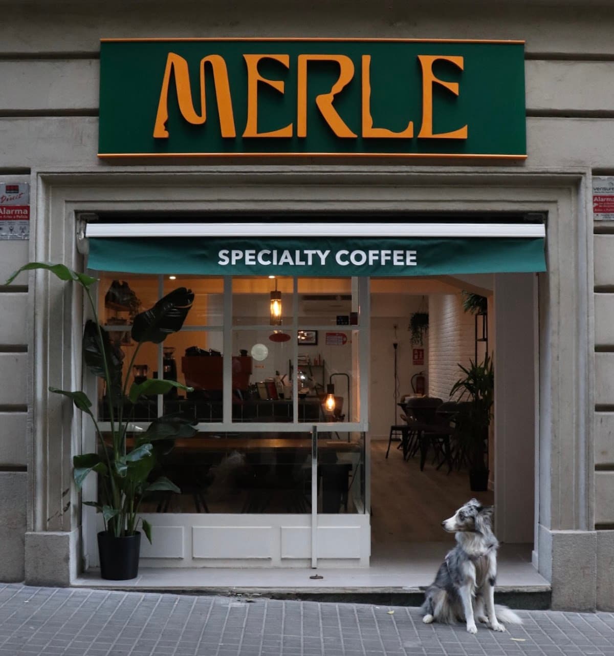 Merle Coffee - specialty coffee shop in Eixample