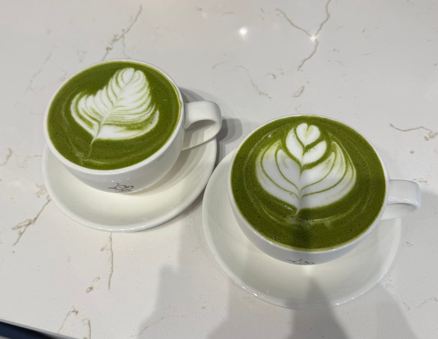 Layali Coffee House - specialty coffee shop in Rochester