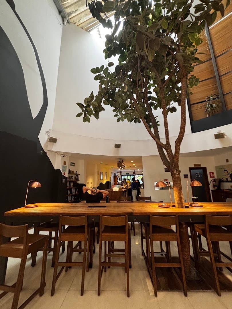 Blend Station - specialty coffee shop in Mexico City