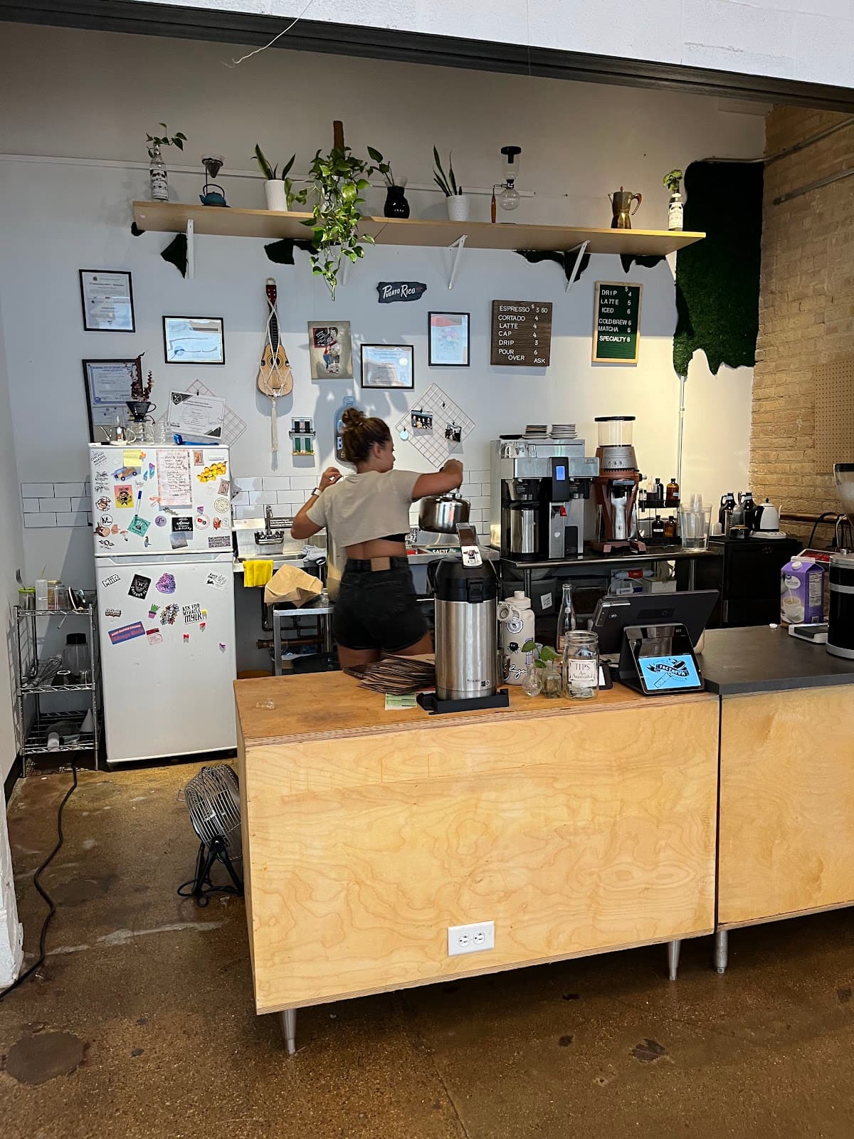 Factotum Coffee - specialty coffee shop in Belmont Gardens