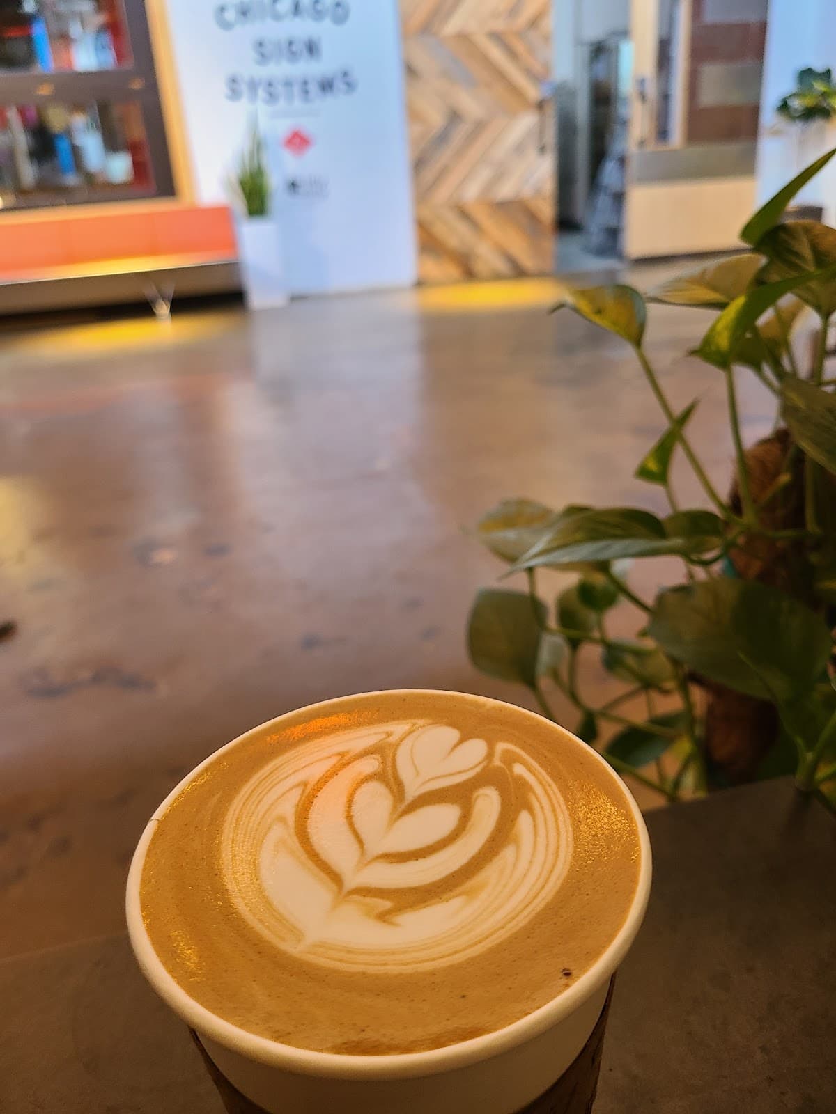 Factotum Coffee specialty coffee shop in Chicago - photo 3