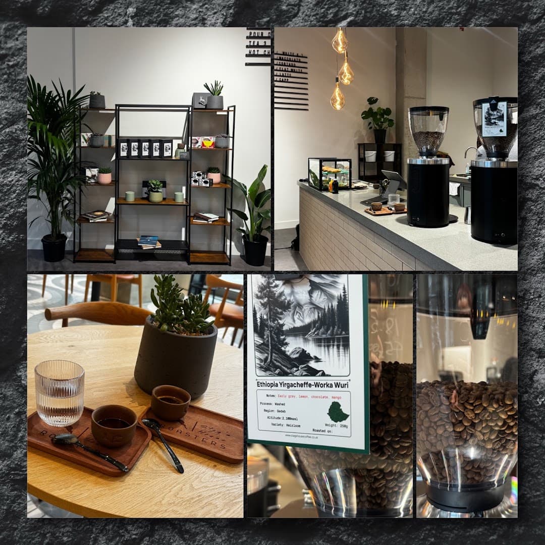 Stag's House Coffee - specialty coffee shop in London