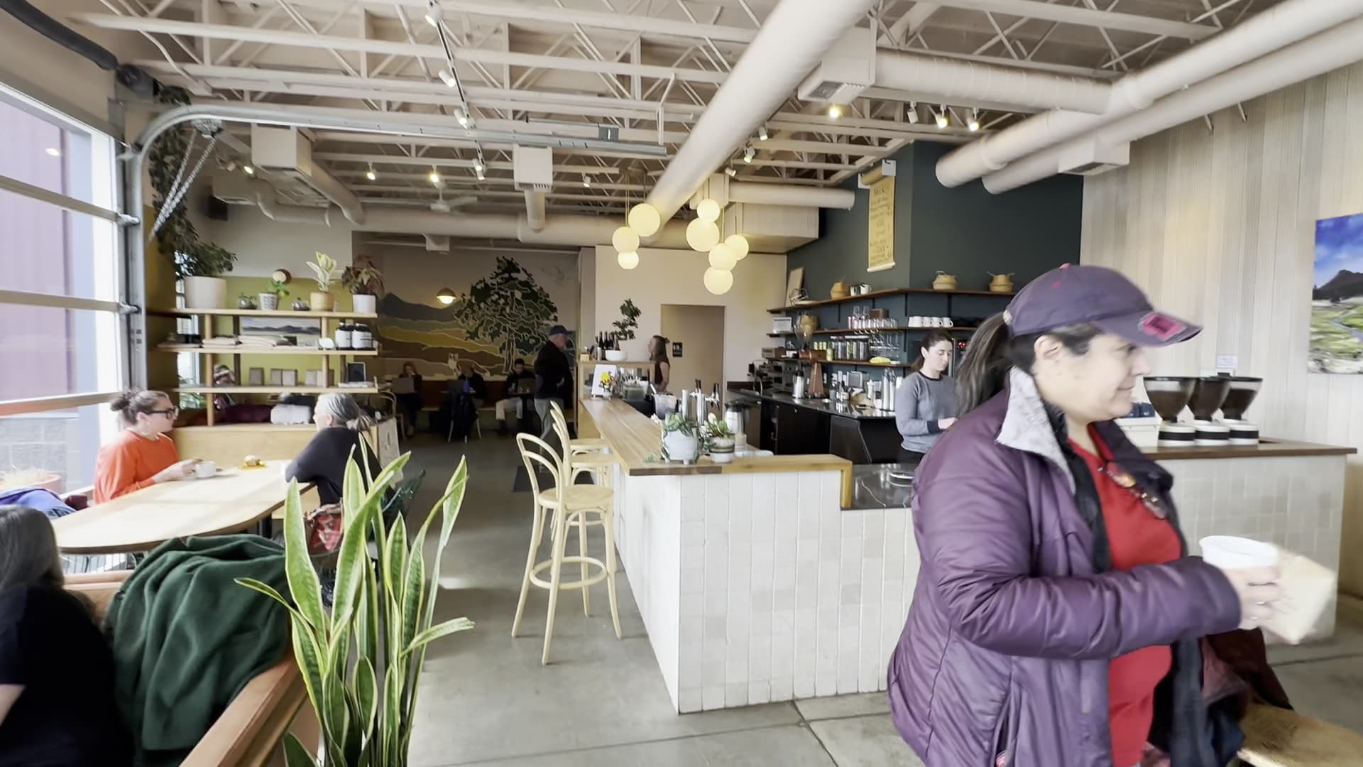 Lone Pine Coffee Roasters - specialty coffee shop in Bend