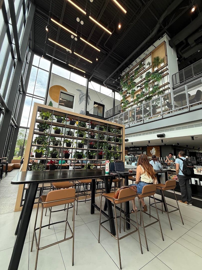 PROVISION - specialty coffee shop in Phoenix