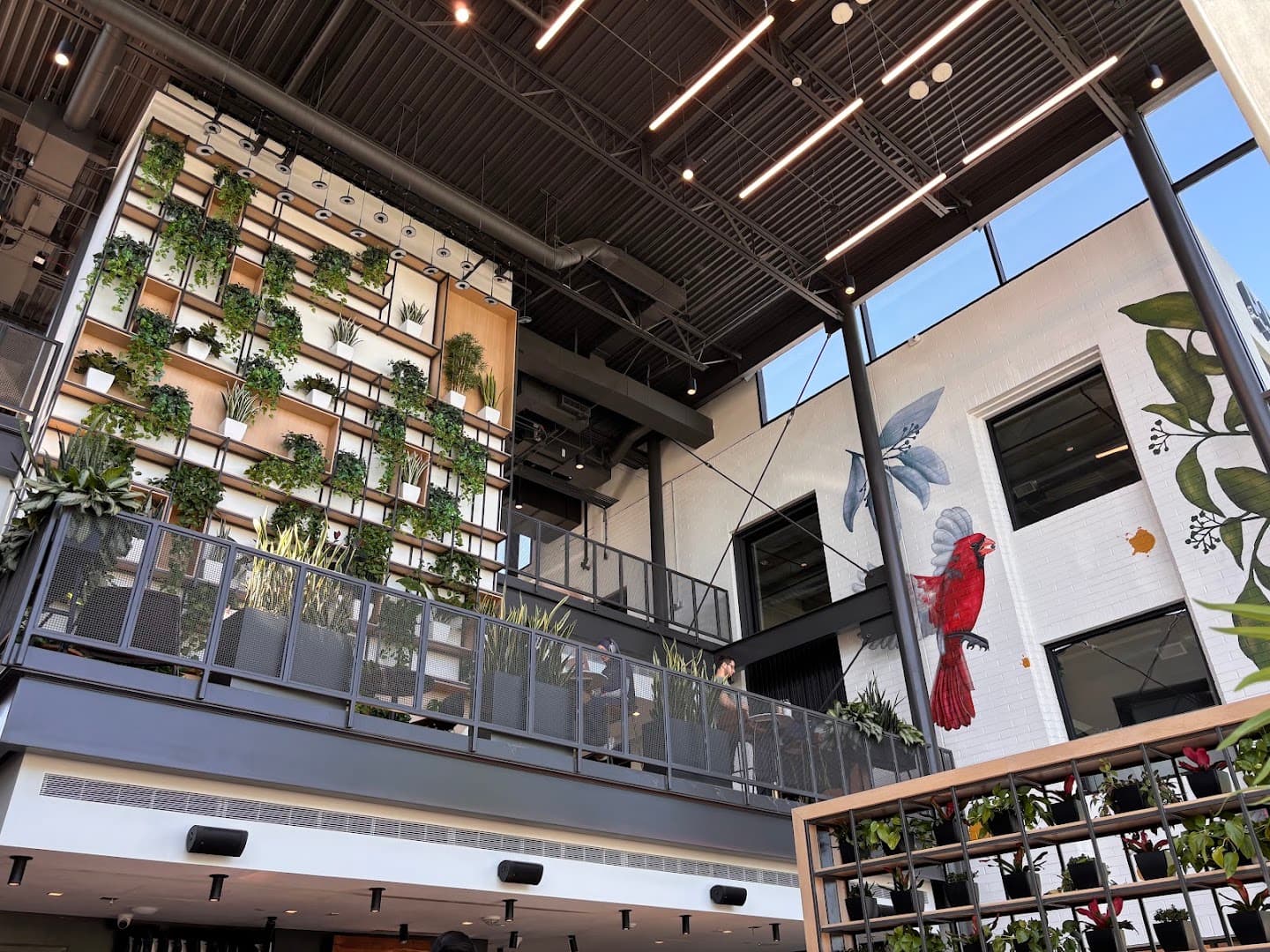 Interior of PROVISION, specialty coffee shop in Phoenix