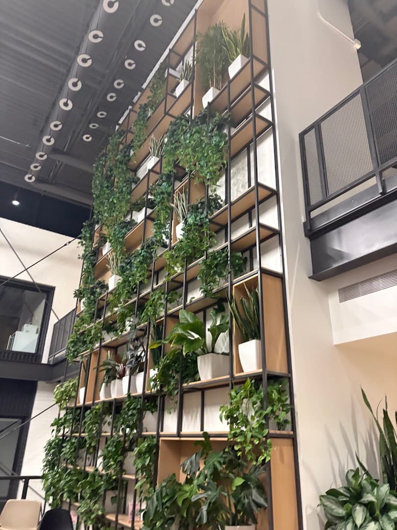 Interior of PROVISION, specialty coffee shop in Phoenix