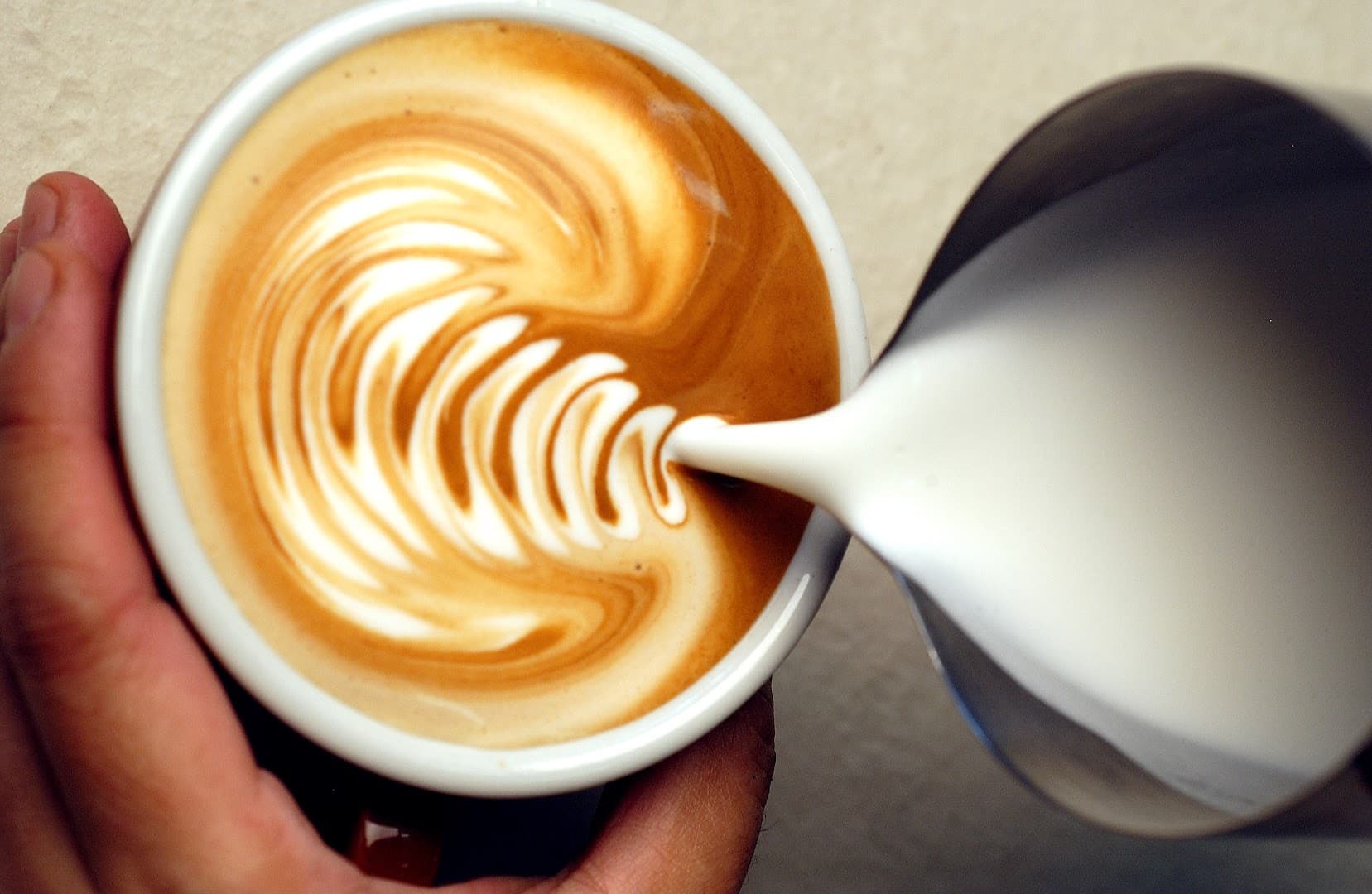 Gumption by Coffee Alchemy - specialty coffee shop in Sydney