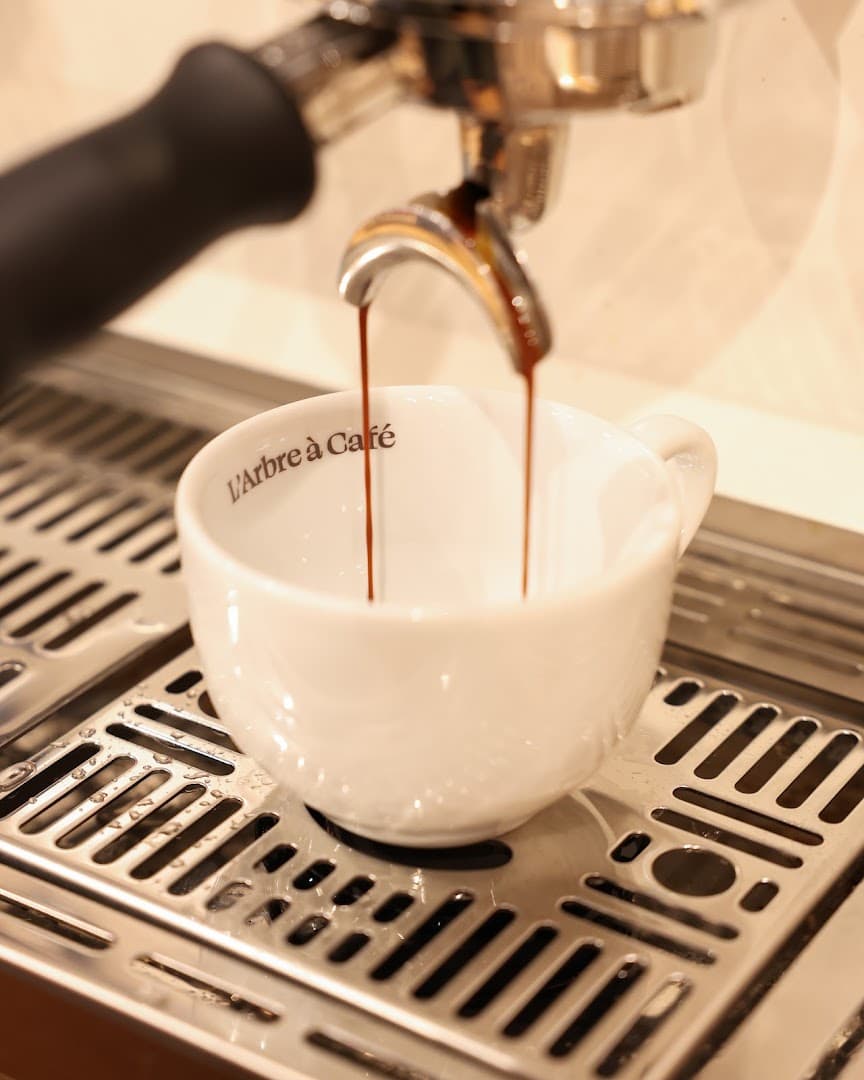 L'Arbre à Café - Café de Spécialité & Coffee Shop - Oberkampf - specialty coffee shop in Paris