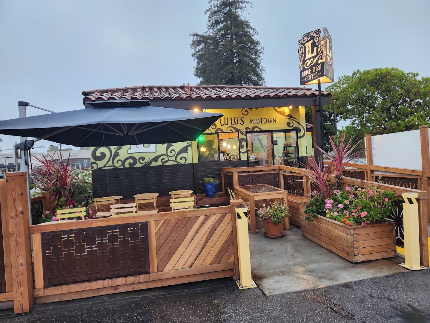 Lulus Midtown - specialty coffee shop in Santa Cruz