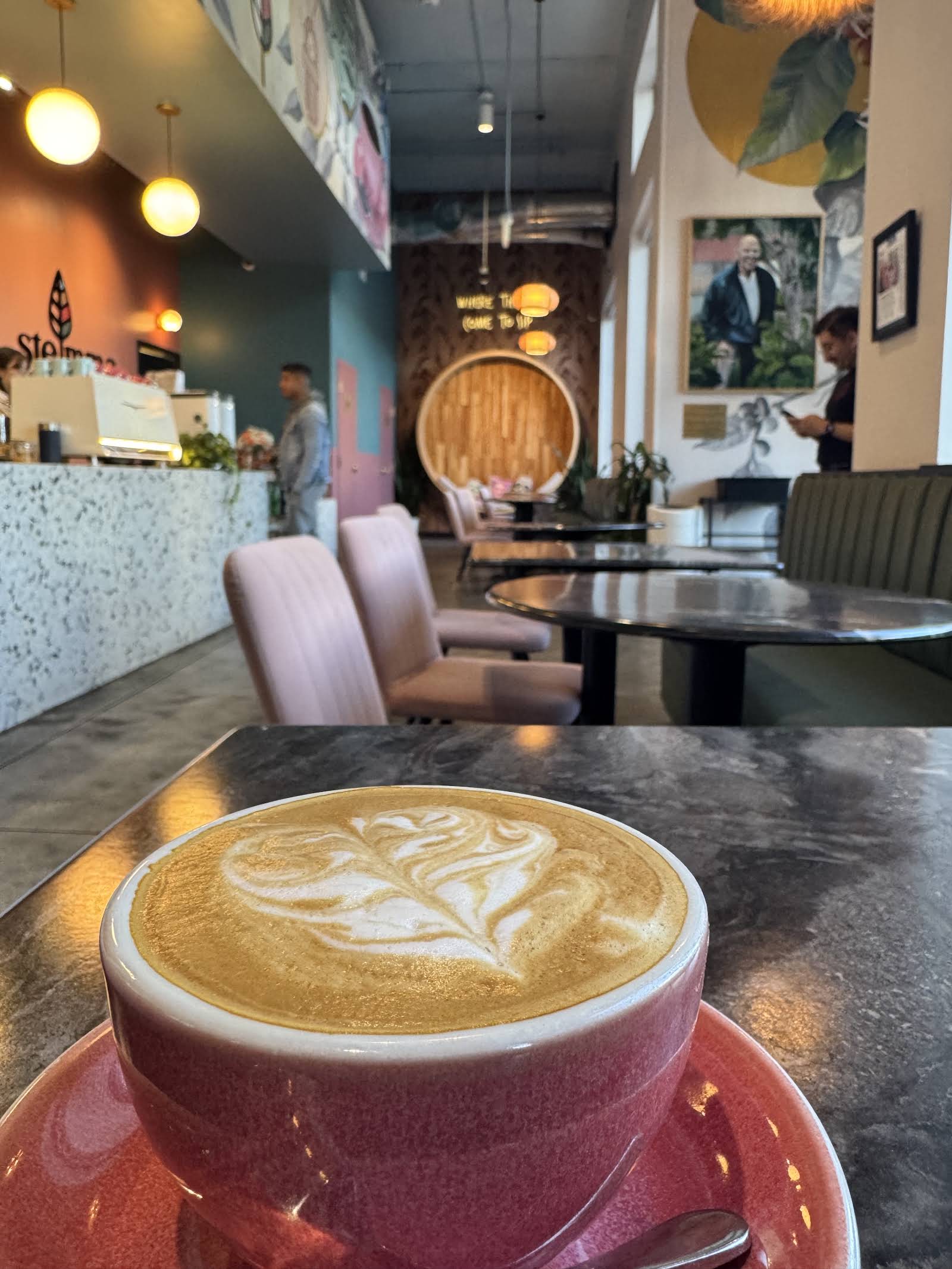 Stemma Craft Coffee specialty coffee shop in Orlando - photo 12